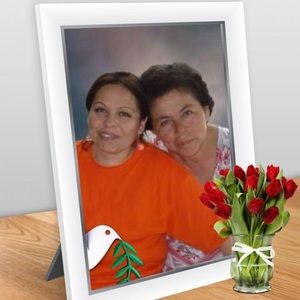 Meet your Posher, M belem